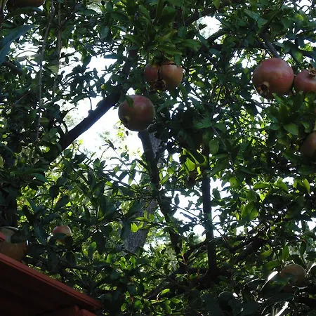 Mate Cebalo Appartamento Lumbarda