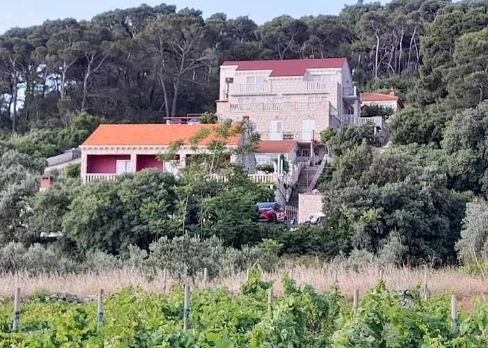 Апартаменты Mate Cebalo *